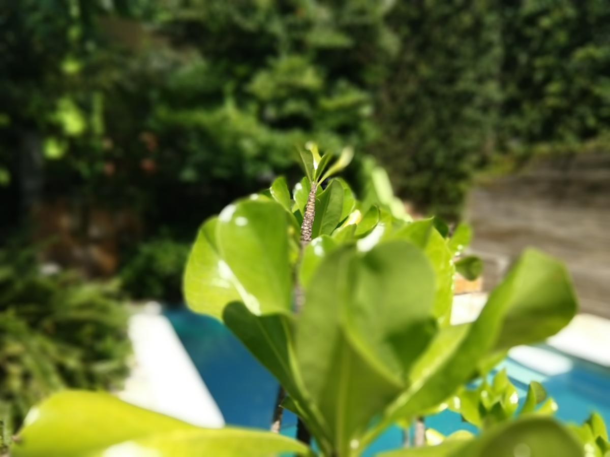 竹之公寓 纳塔耳 外观 照片